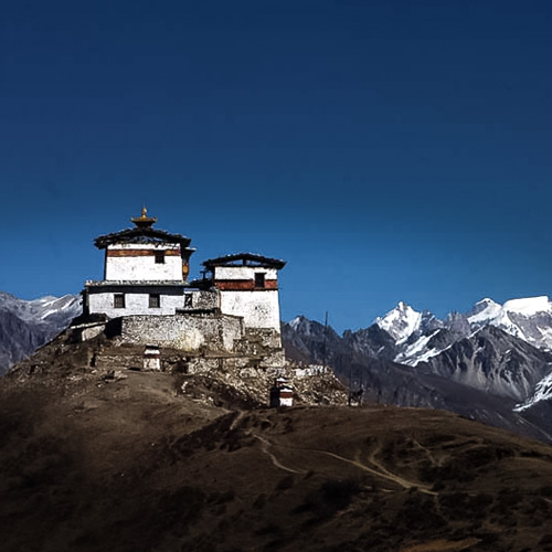 BEAUTIFUL LAYA-LINGSHI TREK Tour Image