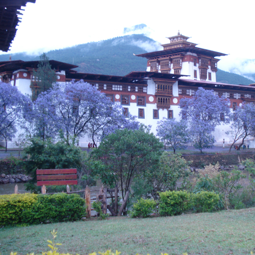 CROSS CULTURE JOURNEYS WITH FESTIVALS Tour Image